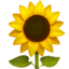 🌻
