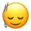 🙂‍↕️
